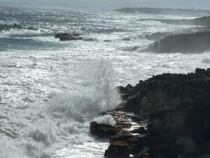 27 octobre 2025 de 11h à 13h<br /><b>Explorer le deuil sous des facettes peu connues</b>