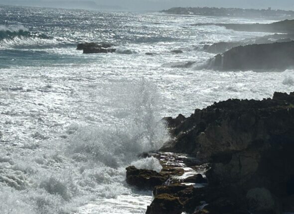 67913914378e6_IMG_5568